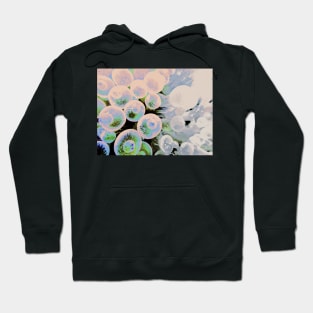 FUNK MARINE Hoodie